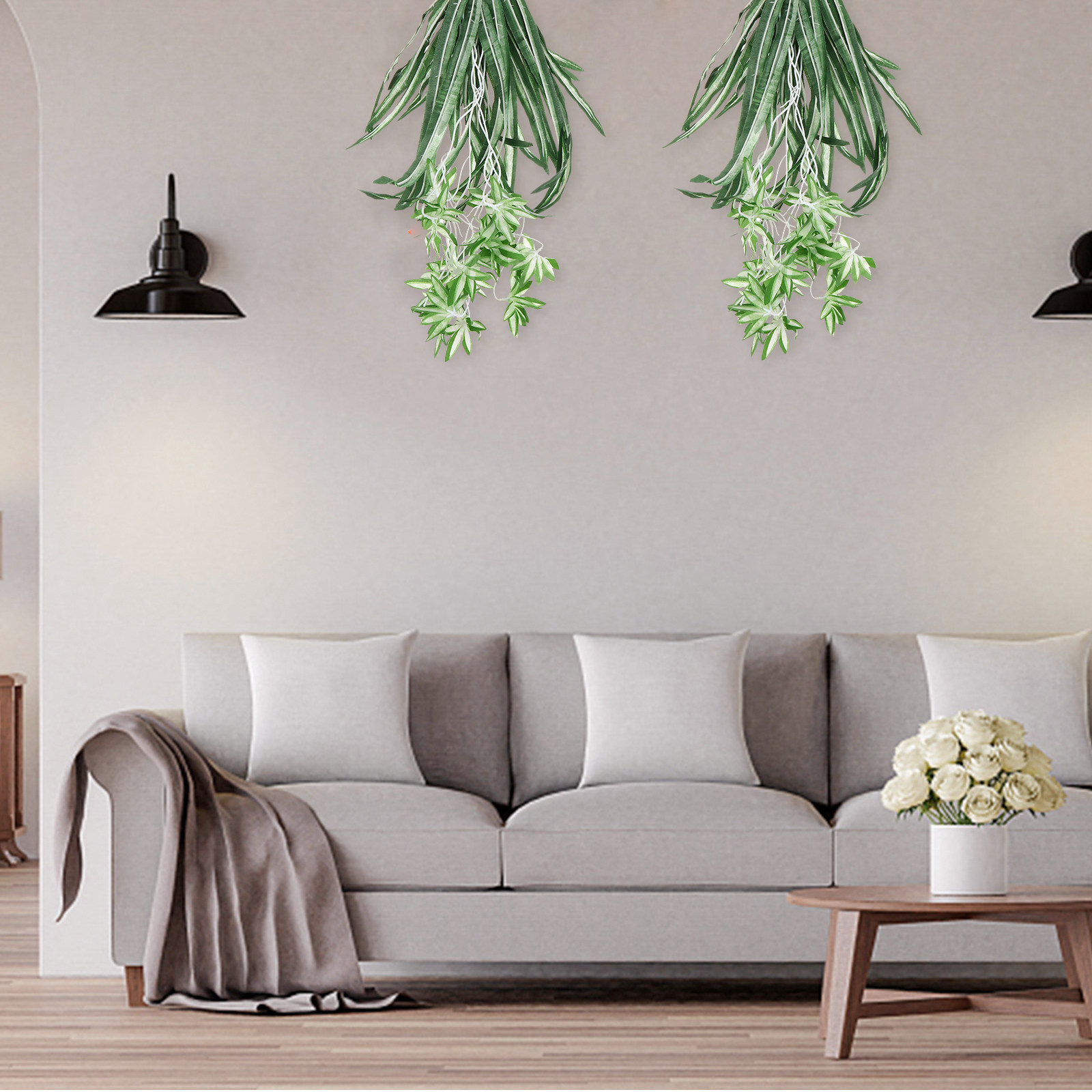 1 ชิ้น ต้นคลอโรฟิตัมเทียม ต้นไ - Spider Plant Hanging บทวิจารณ์และราคา