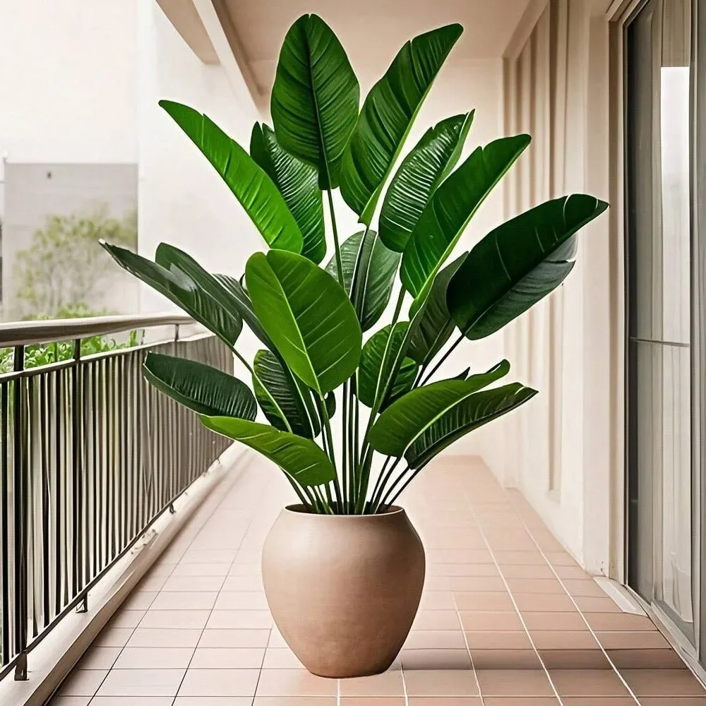 1 PC 18 ใบพืชประดิษฐ์ขนาดใหญ่ป - Ficus Lyrata Tree บทวิจารณ์และราคา