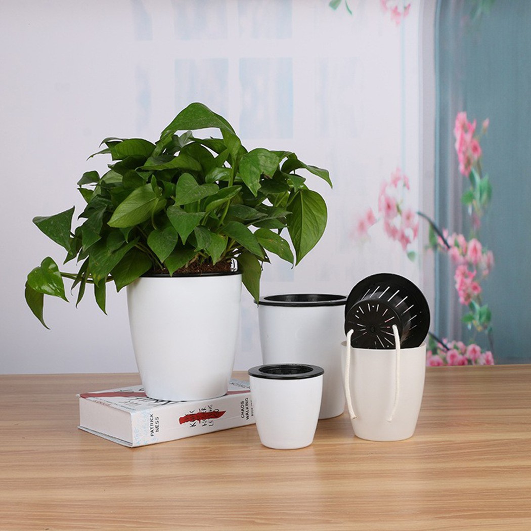 กระถางรดน้ำต้นไม้อัตโนมัติกระถ - Aloe Vera Pot บทวิจารณ์และราคา
