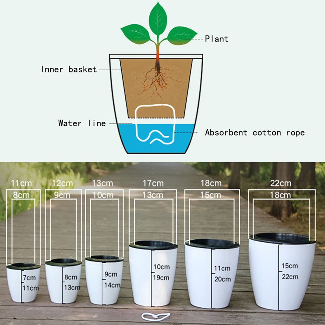 กระถางรดน้ำต้นไม้อัตโนมัติกระถ - Aloe Vera Pot บทวิจารณ์และราคา